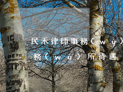 民禾律師事務(wù)所怎么樣(天禾律師事務(wù)所待遇)