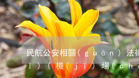 民航公安相關(guān)法律法規(guī)(機(jī)場(chǎng)安保方面的法律)