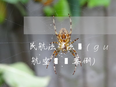 民航法律法規(guī)糾紛案例分析(求航空糾紛案例)