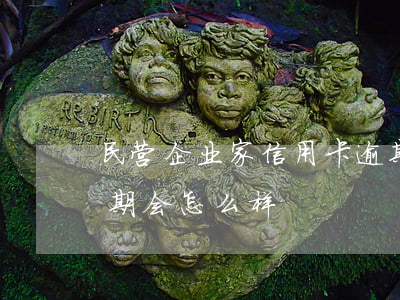 民营企业家信用卡逾期(民营企业家信用卡逾期会怎么样)
