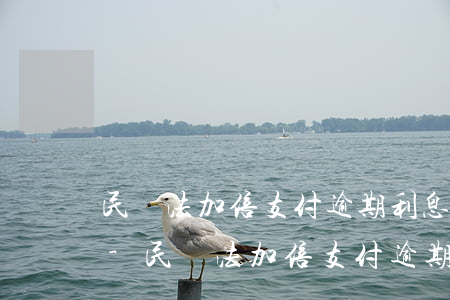 民訴法加倍支付逾期利息的規(guī)定-民訴法加倍支付逾期利息的規(guī)定是什么
