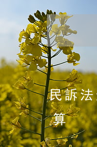 民訴法逾期利息計算（法院的逾期利息怎么計算）