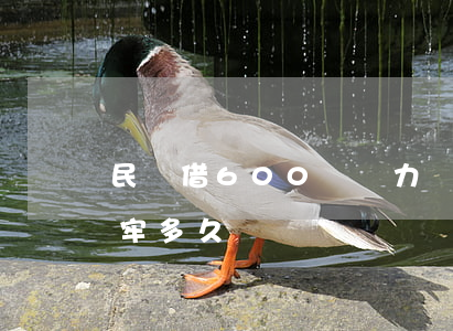 民間借600萬無力償還(借600萬不還,坐牢多久)