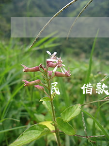 民間借款欠款人無力償還的處理