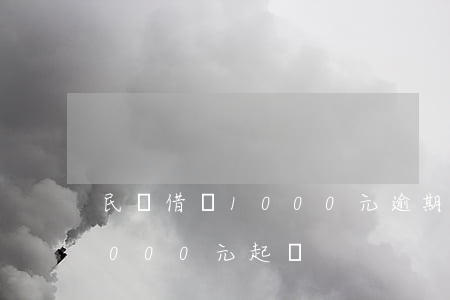 民間借貸1000元逾期起訴-民間借貸5000元起訴