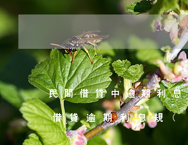民間借貸中逾期利息的規(guī)定（民間借貸逾期利息規(guī)定）