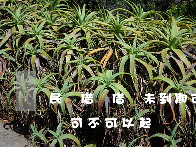 民間借貸借條未到期可以訴訟嗎(不到期的借條可不可以起訴)
