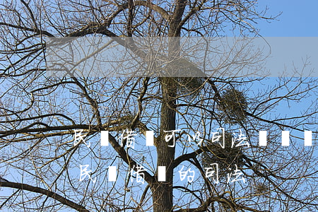 民間借貸可以司法確認嗎(最高人民關于審理民間借貸的司法)