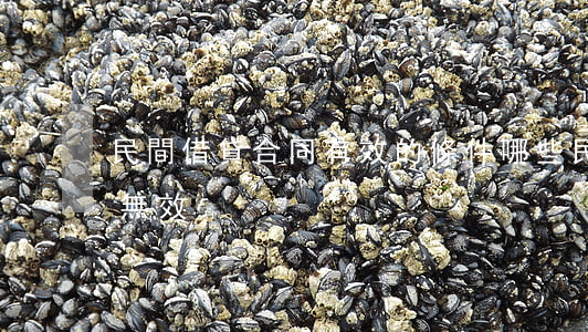民間借貸合同有效的條件，哪些民間借貸合同無效