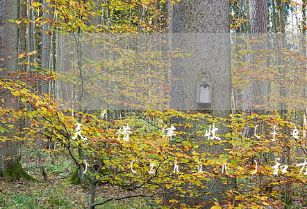 民間借貸律師收費(fèi)標(biāo)準(zhǔn)和方式(民間借貸訴訟律師收費(fèi)標(biāo)準(zhǔn))