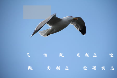 民間借貸既約定利息與逾期利息-民間借貸既約定利息與逾期利息的區(qū)別