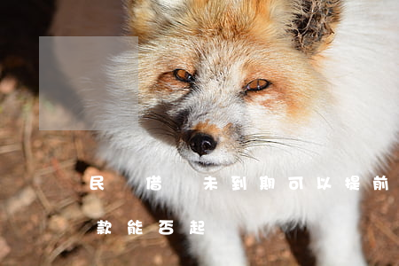 民間借貸未到期可以提前訴訟嗎(未到期的借款能否起訴)