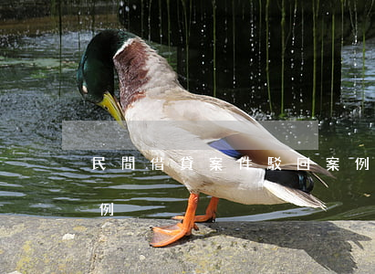 民間借貸案件駁回案例(民間借貸判決駁回判例)