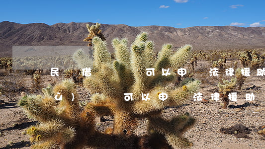 民間借貸糾紛可以申請法律援助嗎(債務(wù)糾紛可以申請法律援助)