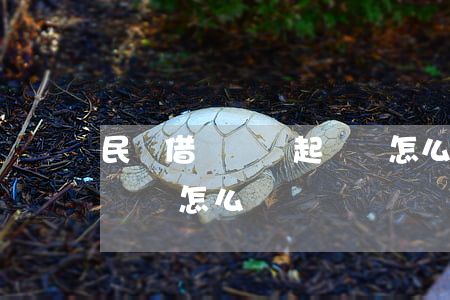民間借貸糾紛起訴狀怎么寫(民間借貸糾紛上訴狀怎么寫)