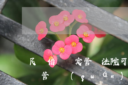 民間借貸約定管轄法院可以嗎(民事訴訟法借貸管轄權(quán)規(guī)定)