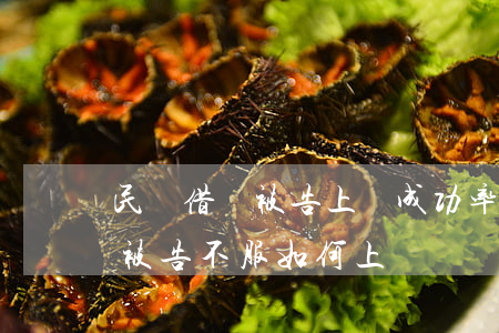 民間借貸被告上訴成功率大嗎(民間借貸一審被告不服如何上訴)