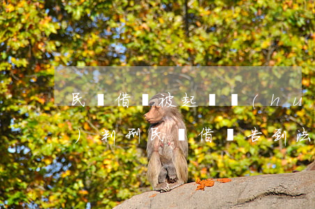民間借貸被起訴會(huì)不會(huì)判刑(民間借貸告到法院,一般會(huì)怎樣判決)