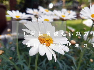 民間借貸被起訴無力償還的人要坐牢嗎-民間借貸被起訴無力償還的人要坐牢嗎