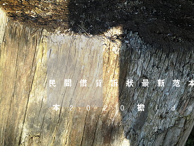 民間借貸訴狀最新范本(民間借貸訴狀最新范本2020擔(dān)保人)