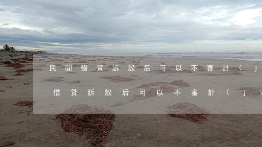民間借貸訴訟后可以不審計(jì)嗎(民間借貸訴訟后可以不審計(jì)嗎)