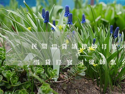 民間借貸請律師打官司如何收費(fèi)(借貸打官司律師怎么收費(fèi))