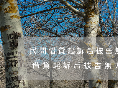 民間借貸起訴后被告無力償還拘留嗎-民間借貸起訴后被告無力償還拘留嗎怎么辦
