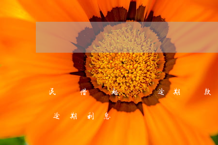 民間借貸起訴狀逾期還款利息(民間借貸糾紛逾期利息)
