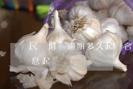 民間借貸逾期多久起訴合法（民間借貸逾期利息起訴嗎）