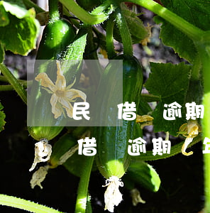 民間借貸逾期幾年沒被催討突然被告-民間借貸逾期幾年沒被催討突然被告了