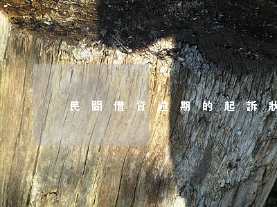 民間借貸逾期的起訴狀模板 貸款逾期起訴狀