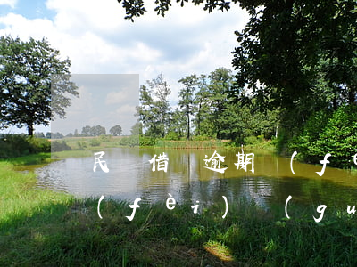 民間借貸逾期費(fèi)(民間借貸逾期費(fèi)規(guī)定)