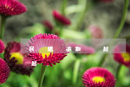 民間借貸逾期違約起訴狀(民間借貸逾期違約起訴狀)