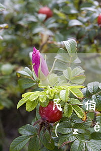民間借貸逾期還款之日(民間借貸逾期還款責(zé)任)