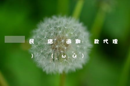 民間借貸逾期還款代理詞(代還貸款業(yè)務(wù))