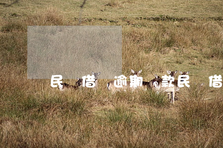 民間借貸逾期還款 民間借貸逾期還款