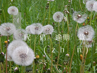 民間借貸逾期還款違約金賠償標(biāo)準(zhǔn)-民間借貸逾期還款違約金賠償標(biāo)準(zhǔn)是多少