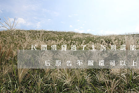 民間借貸過了上訴期還能上訴嗎(民間借貸判決后原告不服還可以上訴嗎)