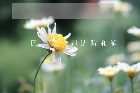 民間借錢到法院和解