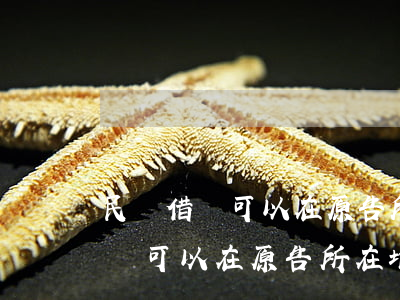 民間借錢可以在原告所在地起訴嗎-民間借錢可以在原告所在地起訴嗎法院