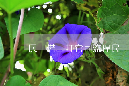 民間借錢打官司流程(民間借款如何起訴)