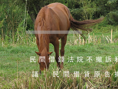 民間借錢法院不撤訴私下再打協(xié)議-民間借貸原告撤訴被告不同意行嗎?