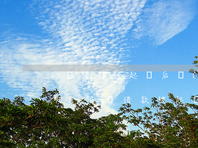 民間借錢被起訴后時(shí)效性是幾年啊-民間借款被起訴后果