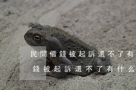 民間借錢被起訴還不了有什么后果-民間借錢被起訴還不了有什么后果嗎