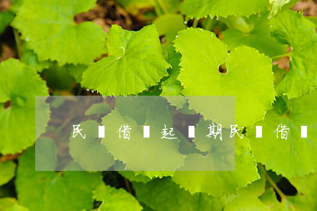民間借錢起訴期(民間借錢起訴期限是多久)