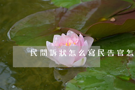 民間訴狀怎么寫(民告官怎么寫訴狀)