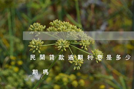民間貸款逾期利息是多少(貸款利息多久算逾期嗎)