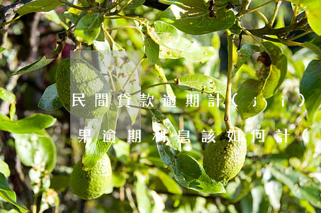 民間貸款逾期計(jì)算公式(民間借貸如果逾期,利息該如何計(jì)算)