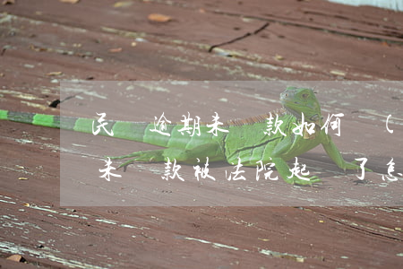 民間逾期未還款如何應(yīng)訴(逾期未還款被法院起訴了怎么辦)