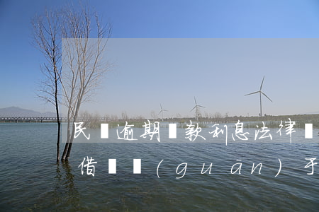 民間逾期還款利息法律規(guī)定(民間借貸關(guān)于逾期利息的規(guī)定)